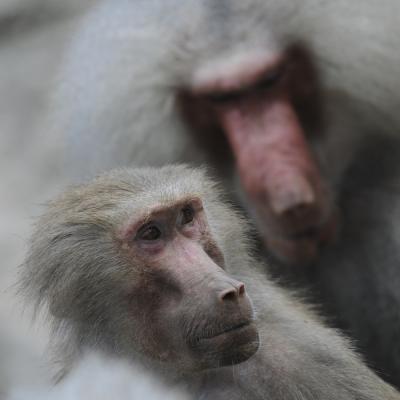 media gallery image 6