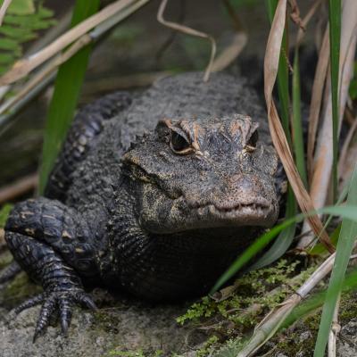 media gallery image 6