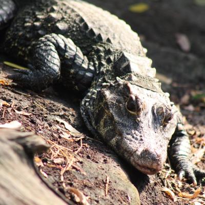 media gallery image 2