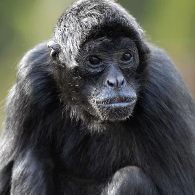 media gallery image 6