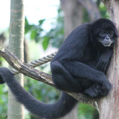 media gallery image 6