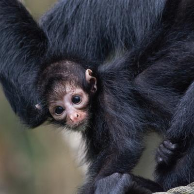 media gallery image 6