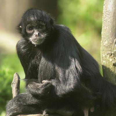 media gallery image 2