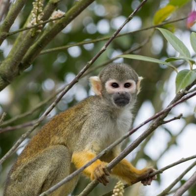 media gallery image 2