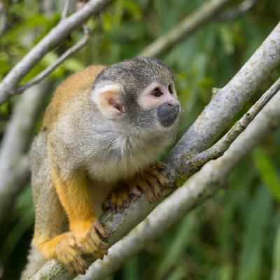 media gallery image 6