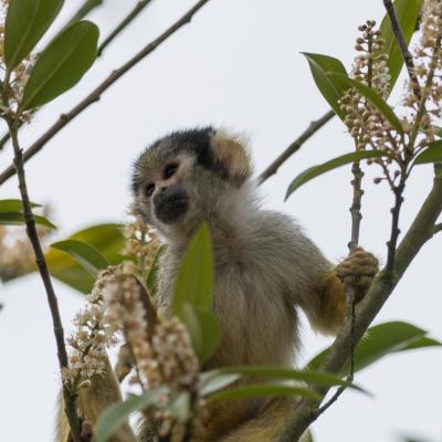 media gallery image 6