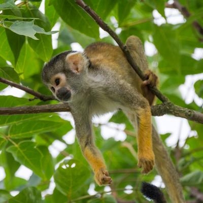 media gallery image 6