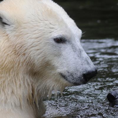 media gallery image 2