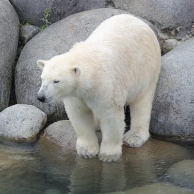 media gallery image 6