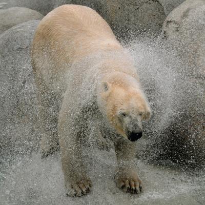 media gallery image 6