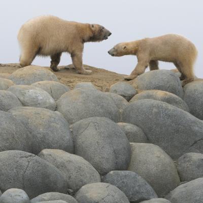 media gallery image 6