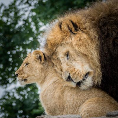 media gallery image 6