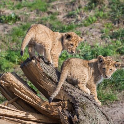 media gallery image 2