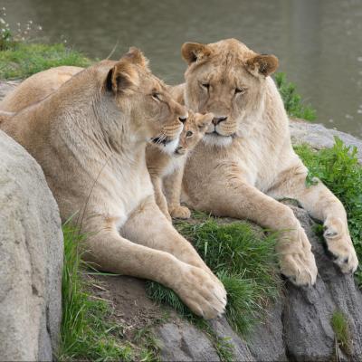 media gallery image 6