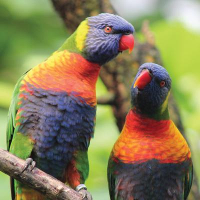 media gallery image 6