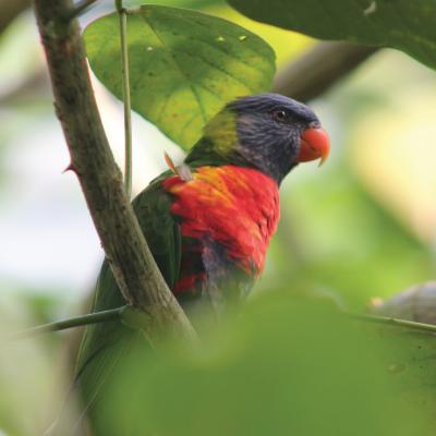 media gallery image 2