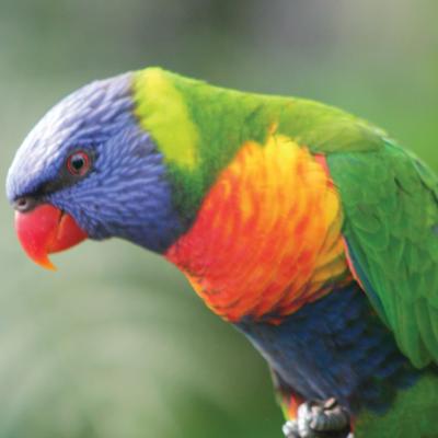 media gallery image 6