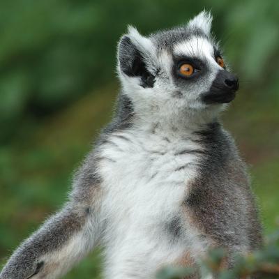 media gallery image 6