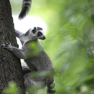 media gallery image 6