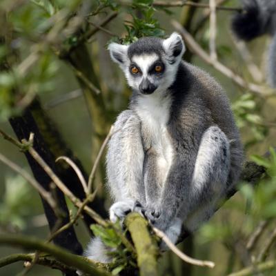 media gallery image 2