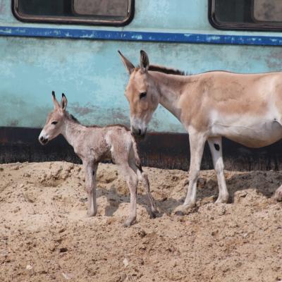 media gallery image 6