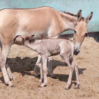 media gallery image 6