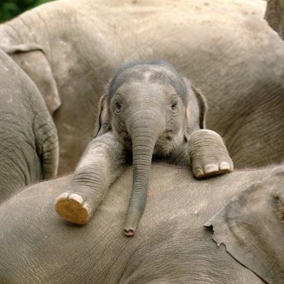 media gallery image 2