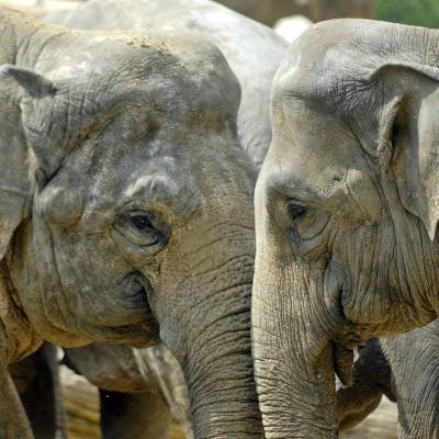 media gallery image 6