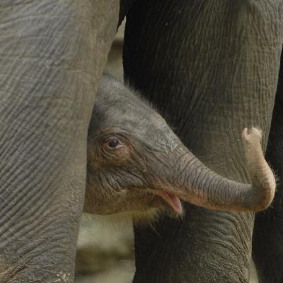 media gallery image 6