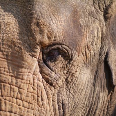 media gallery image 6