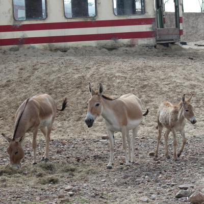 media gallery image 6