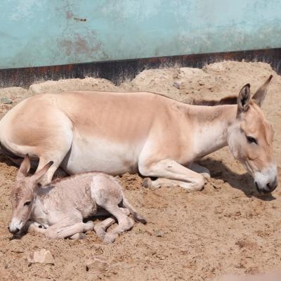 media gallery image 2