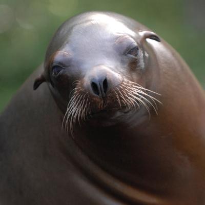 media gallery image 2