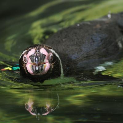 media gallery image 6