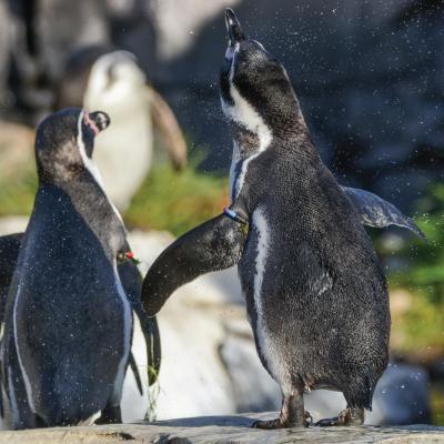 media gallery image 6