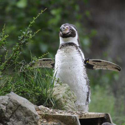 media gallery image 2