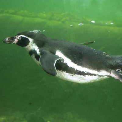 media gallery image 6