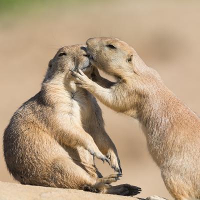 media gallery image 6