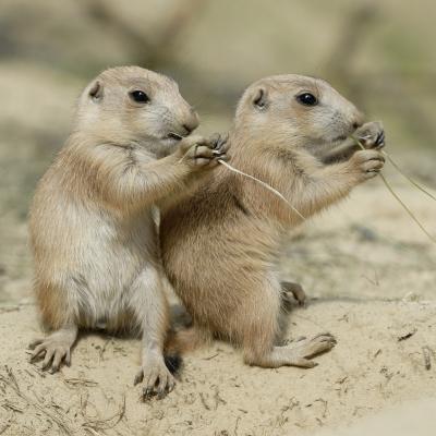 media gallery image 2