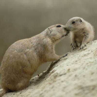 media gallery image 6