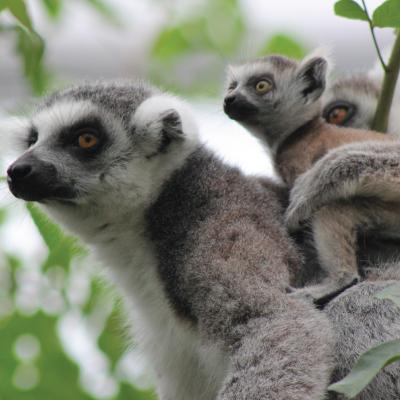 media gallery image 6