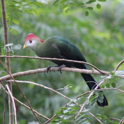 media gallery image 2