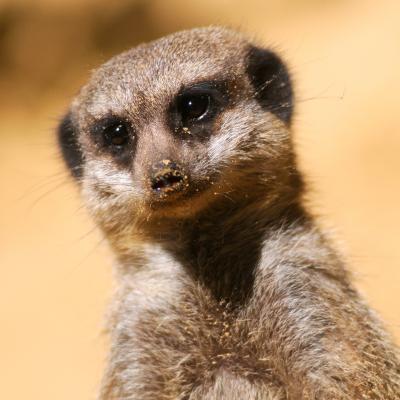 media gallery image 6