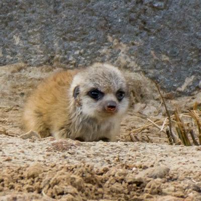 media gallery image 2