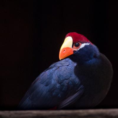 media gallery image 6