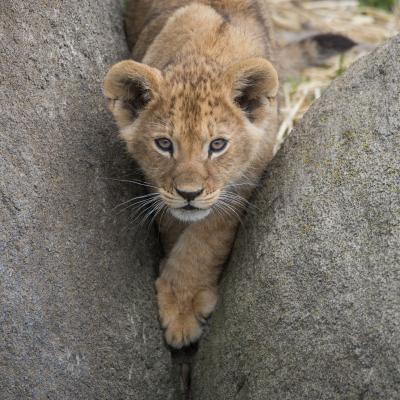 media gallery image 6