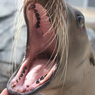 media gallery image 6