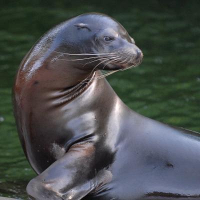 media gallery image 6