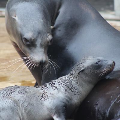 media gallery image 6