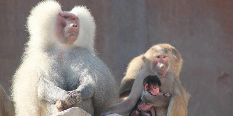 media gallery image 2